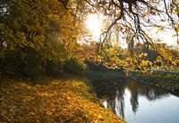 Herfstlandschap