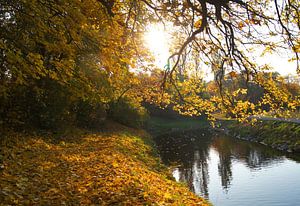 Herbstlandschaft