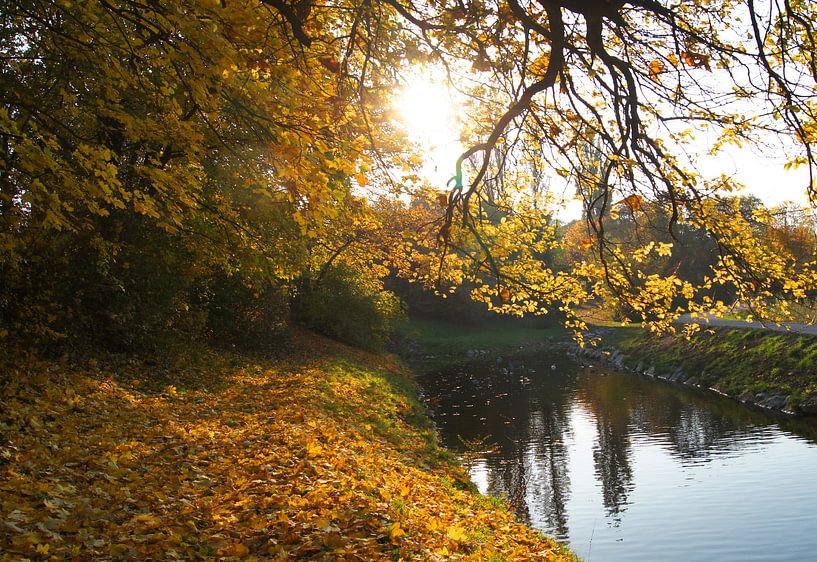 Herbstlandschaft von Markus Jerko