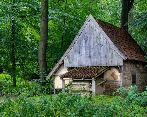 Hutje in het bos