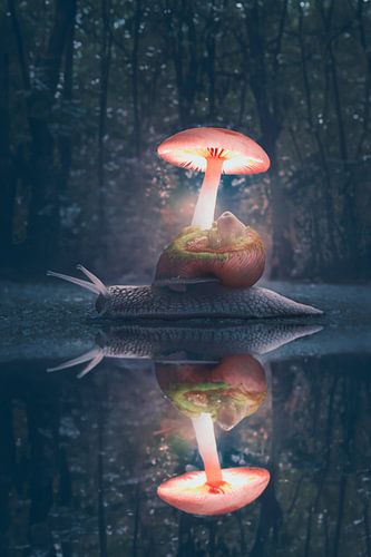 Enchanting Photo Manipulation: Mystical Snail in the Dark Forest by Elianne van Turennout