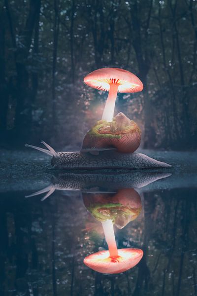 Bezaubernde Fotomanipulation: Mystische Schnecke im dunklen Wald von Elianne van Turennout