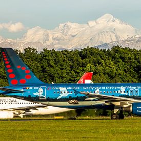 Brussels airlines in special colours by Dennis Dieleman