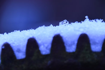 neige sur une roue dentée