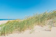 Duinen aan het strand in de zomer van Sjoerd van der Wal Fotografie thumbnail
