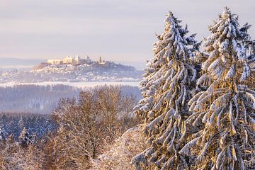 Uitzicht op de winterse Augustusburg