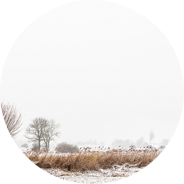 Vreugderijkerwaard in de winter van Erik Veldkamp