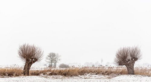 Vreugderijkerwaard in de winter