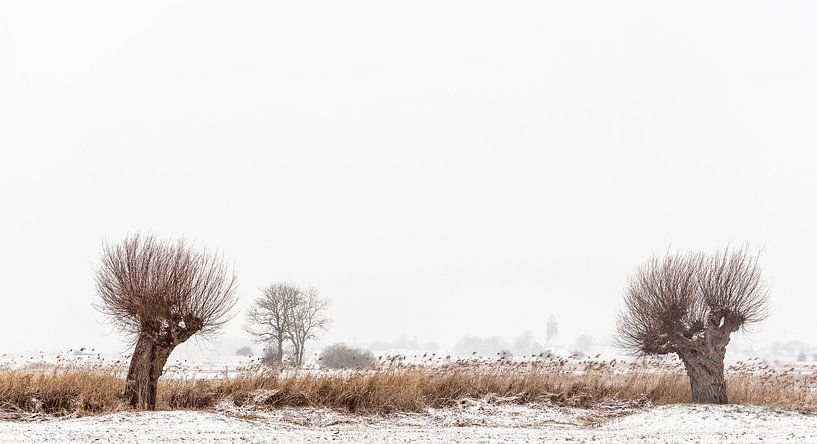 Vreugderijkerwaard en hiver par Erik Veldkamp