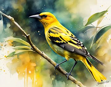 Beautiful Birds of the World - Golden Oriole bird2 by Johanna's Art