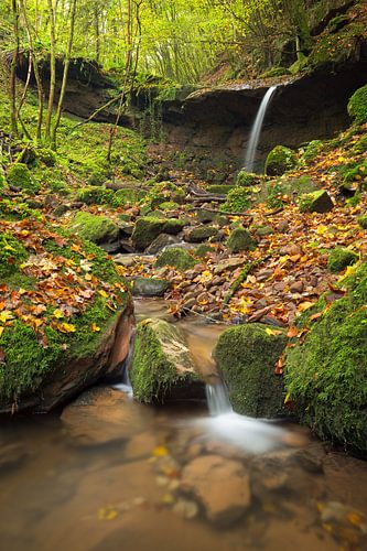 Wasserfall Butzerbachtal im Herbst in der Eifel, Deutschland.