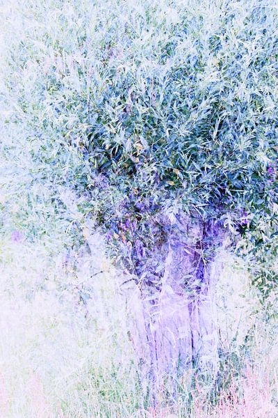 Dream tree by Jacqueline Gerhardt