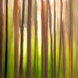 INSEL FISCHLAND-DARSS-ZINGST ICM - the tree code von Bernd Hoyen