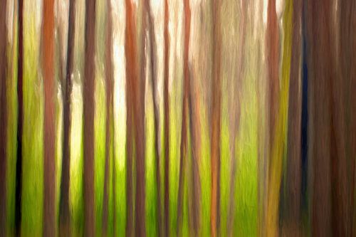 EILAND FISCHLAND-DARSS-ZINGST ICM - de boomcode