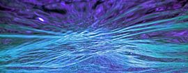 Wunderschönes Purpur- und Aqua-Stilleben. von Silvia Weenink