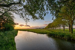 Die Goldene Stunde im Polder