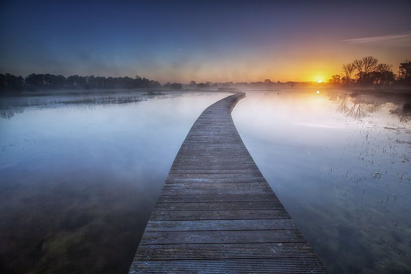 Sunrice by Michel Jansen