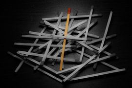 The same, but different by Jeanine den Engelsman