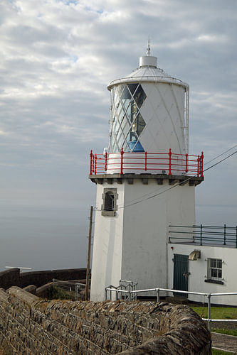 Zwartkop vuurtoren