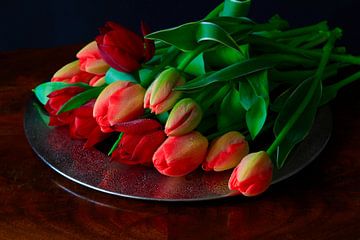 Tulpen van Thomas Jäger