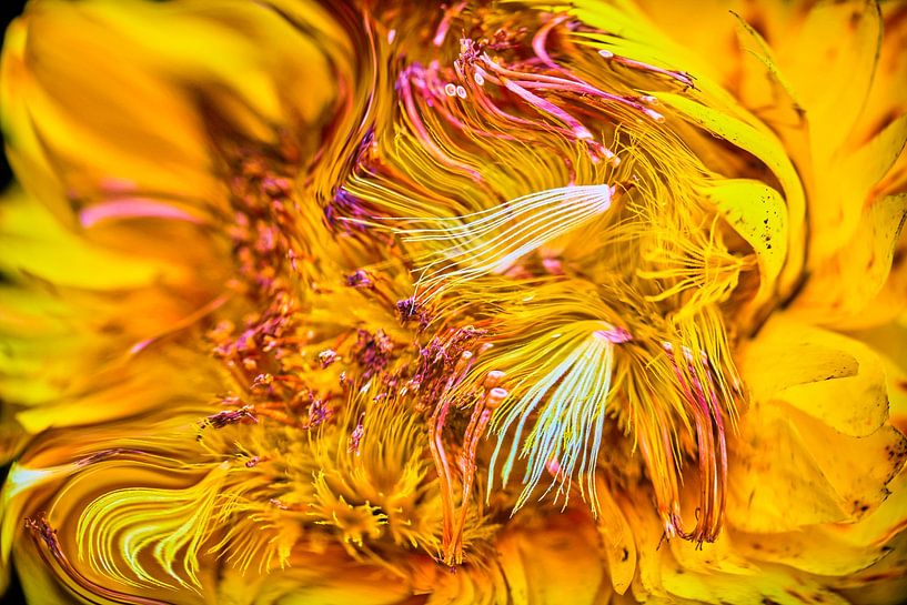 The Secret Life of Plants No4 by Jenco van Zalk