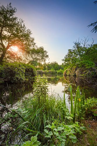 Sonnenaufgang über dem Anwesen de Wamberg, Berlicum
