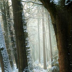 Winters in Twente by Rene Wolf