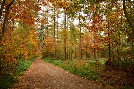 Nijreesbos Almelo van Lambertus van der Vegt
