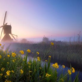 The Uitwijk mill by Richard Nell