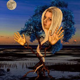 Blue Moon von Elviedan Monjet