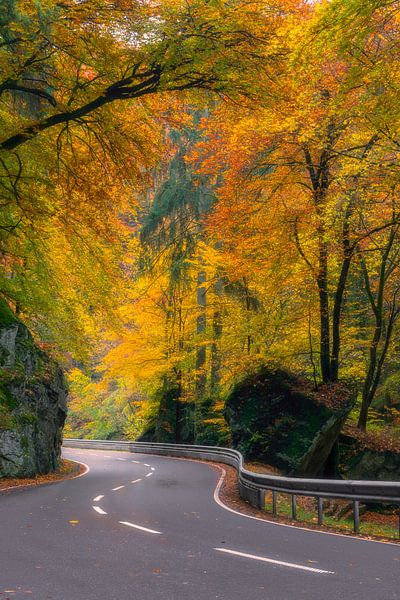 On my way to autumn by Richard Nell