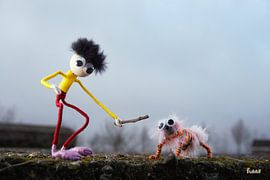 Fubby plays outside with animal. by Sailographic Paula