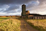 Graansilo in Montferland von Elroy Spelbos Fotografie Miniaturansicht