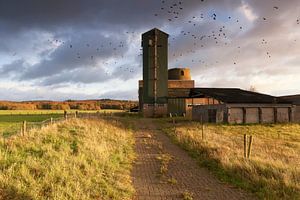 Graansilo in Montferland