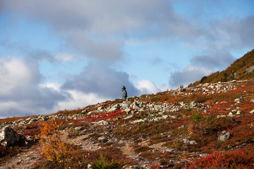 Nipgubben, Nipfjallet, Idre, Dalarna by Corrie Post
