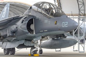 McDonnell Douglas TAV-8B Harrier. von Jaap van den Berg
