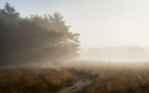 Wenn ein Herbsttag beginnt