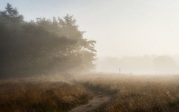 Het begin van een mooie herfstdag van Mart Houtman