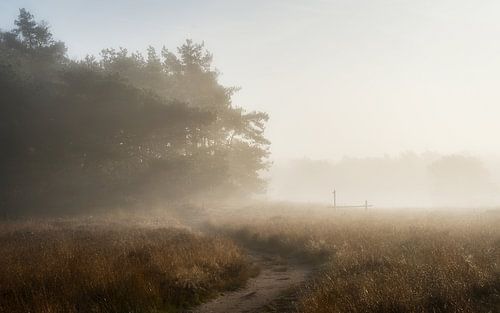 Het begin van een mooie herfstdag