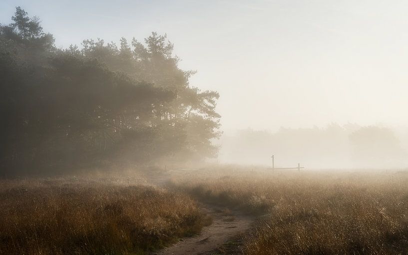 Lorsqu'une journée d'automne commence par Mart Houtman