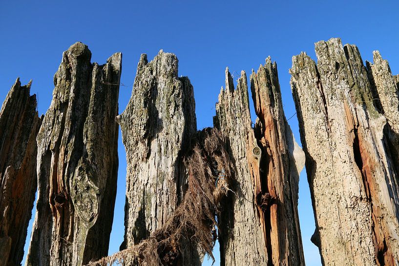 houten zeewering bij Moddergat Waddenzee by Taco Ruiten