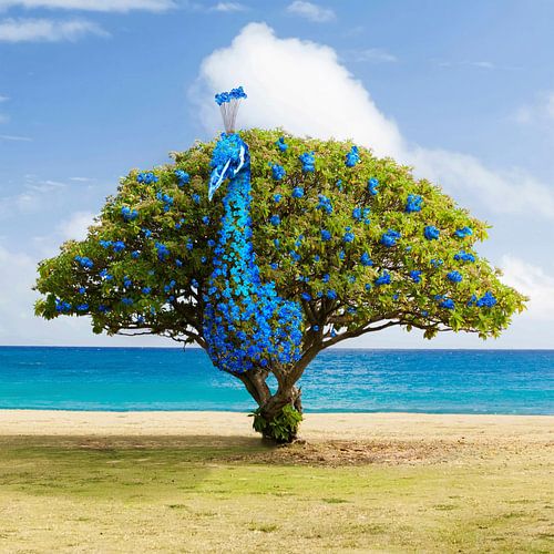 Creative digital artwork Peacock Tree