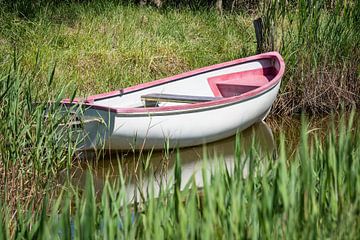 Boat and reets