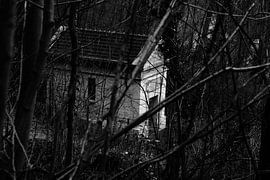 Verstopt by Joyce Pals