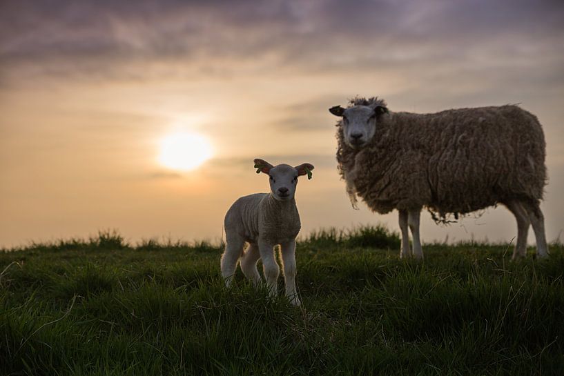 Spring is in the air! van Chris Snoek