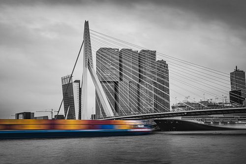 Erasmus bridge in Rotterdam - Skyline (Black and white)