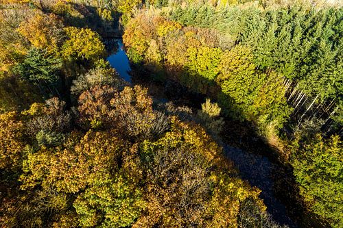 Herfstlandschap vanuit de lucht gezien