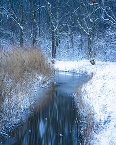 Winter in den Niederlanden von Sonny Vermeer