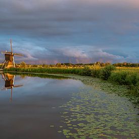 Golden curve by Jan Koppelaar Fotografie