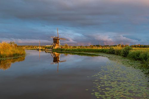 Gouden bocht
